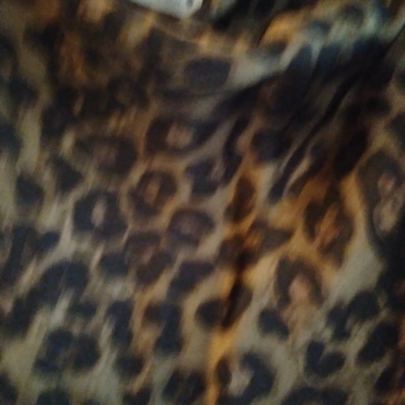 ZARA cheetah print cowl neck maxi dress. - Picture 3 of 6